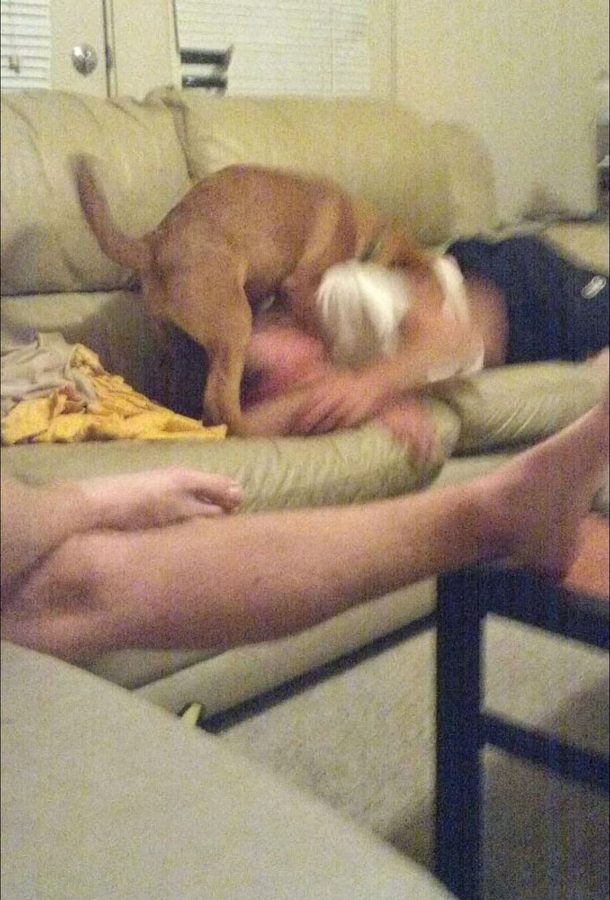 Douille standing on someone asleep on the couch
